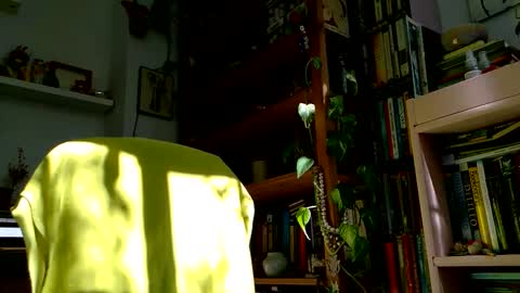 Snapshot of vivid_ether chatting on October 27, 12:09 pm Viv online show from October 27, 12:09 pm