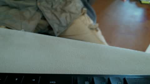 vnpg92 online show from December 1, 7:47 pm