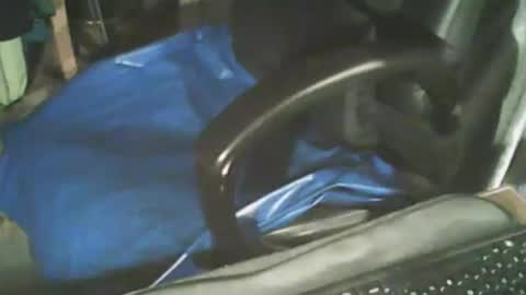 waaaooow online show from November 11, 3:34 pm