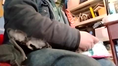 Snapshot of waffywaff77 chatting on January 12, 11:58 pm waffywaff77 online show from January 12, 11:58 pm