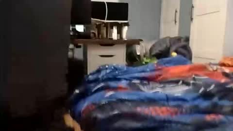 Snapshot of wakarimashitaz chatting on December 3, 5:48 am Wakarimashita01 online show from December 3, 5:48 am