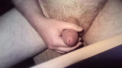 Snapshot of wanky83 chatting on December 24, 4:51 pm wanky83 online show from December 24, 4:51 pm