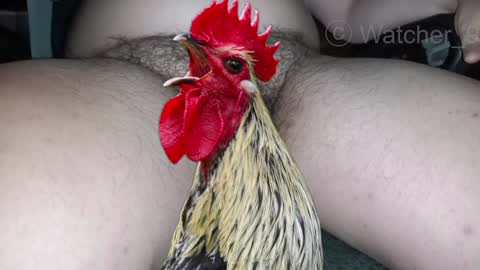 classified online show from December 29, 1:34 am