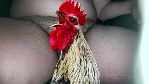 classified online show from October 7, 8:17 pm