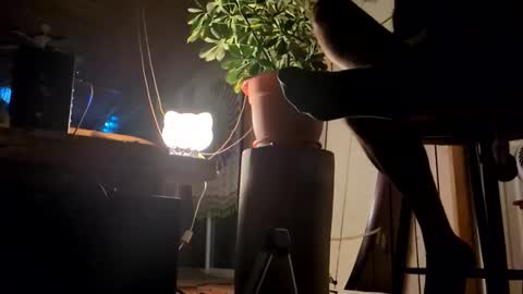 watershed111111 online show from January 12, 9:03 am