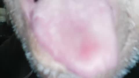 Snapshot of wayne1311 chatting on January 23, 4:26 pm wayne1311 online show from January 23, 4:26 pm