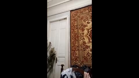 Snapshot of webgirl2 chatting on February 26, 4:14 pm Marina online show from February 26, 4:14 pm