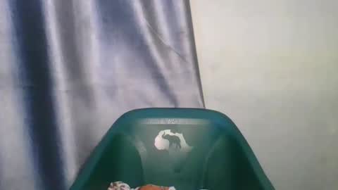 wetfatpussy_ online show from February 12, 6:58 pm