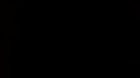 whitehead_lion online show from February 24, 6:05 am