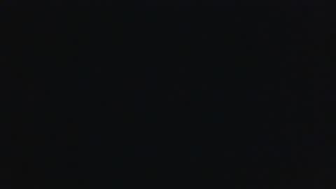 whitehead_lion online show from September 18, 7:21 am