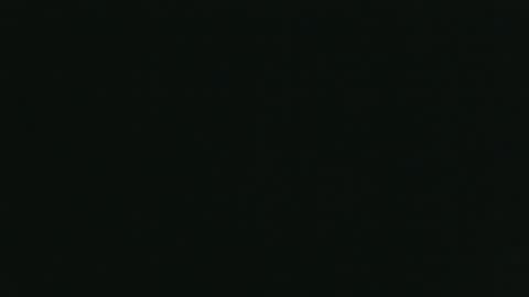 whitehead_lion online show from October 26, 5:52 pm