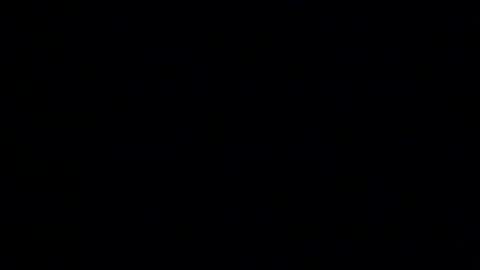 whitehead_lion online show from January 14, 6:13 pm