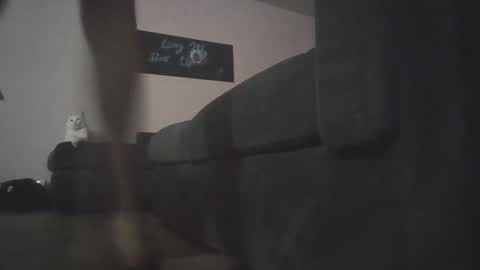 Snapshot of whosten0 chatting on December 1, 4:17 am whosten0 online show from December 1, 4:17 am