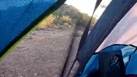 Snapshot of wildernessgoddess chatting on November 14, 11:46 pm wildernessgoddess online show from November 14, 11:46 pm