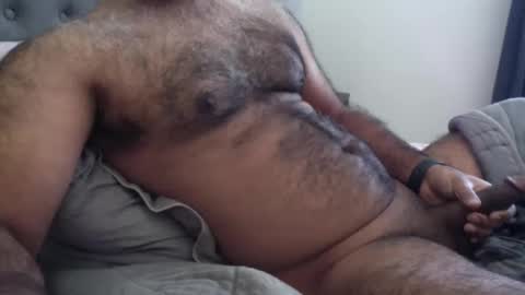 wildhungry online show from December 1, 6:57 pm