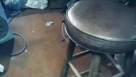 wildman6 online show from October 11, 5:44 pm