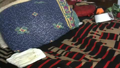 Willamyth online show from February 9, 9:58 am