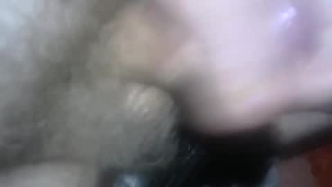 willcam22 online show from April 15, 3:08 pm