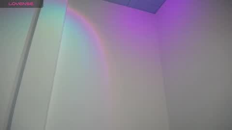 Snapshot of willmonkey chatting on January 5, 2:38 am willmonkey online show from January 5, 2:38 am