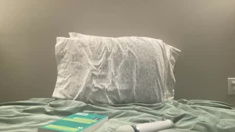 Snapshot of willowwilder chatting on January 3, 4:11 am Willow online show from January 3, 4:11 am