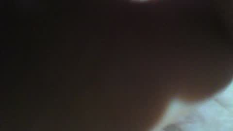 Willy Stroker online show from January 12, 6:49 pm