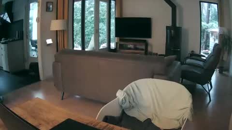 woodwurm and Snoeske online show from February 19, 7:26 am