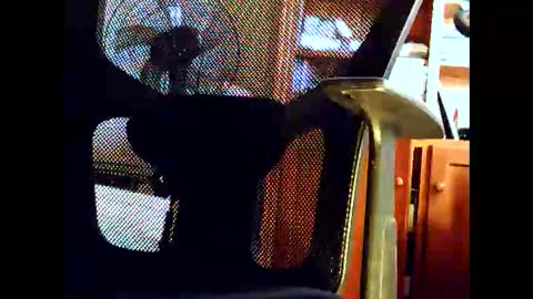 woodyforyou2 online show from January 19, 12:47 am