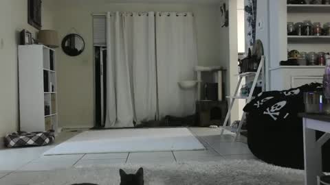 Snapshot of wrenleigh chatting on December 26, 9:22 am Crystal Lake online show from December 26, 9:22 am