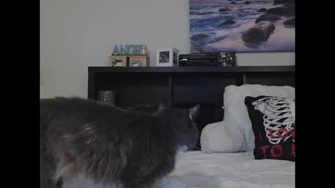 Snapshot of wrenleigh chatting on September 25, 10:19 am Crystal Lake online show from September 25, 10:19 am