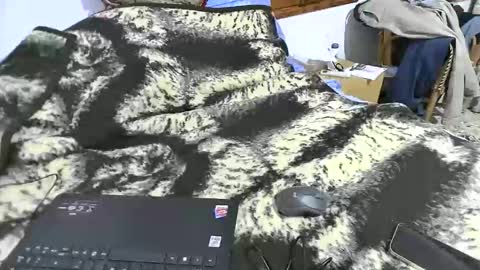 xaxi3 online show from March 15, 3:45 am