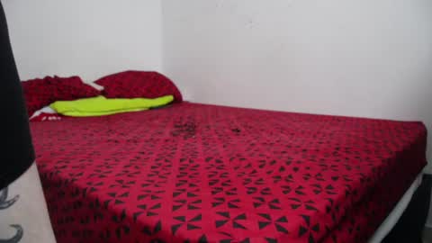 xcamtentationx online show from December 8, 2:49 am