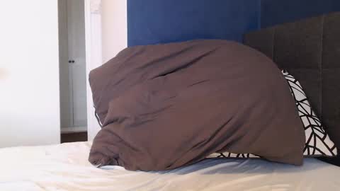 xhotfanx online show from January 1, 11:05 am