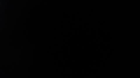 ximlopexx online show from October 2, 10:17 pm