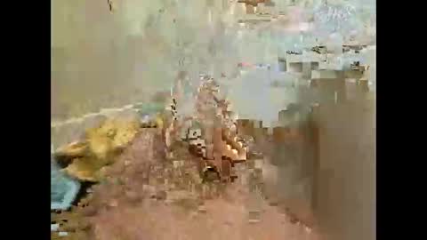 Snapshot of xmark99 chatting on November 27, 4:53 pm Jj880 online show from November 27, 4:53 pm