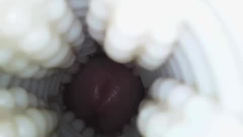 xoxowtf online show from January 9, 4:26 am