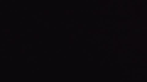 Snapshot of xtedx23 chatting on February 24, 1:46 am xtedx23 online show from February 24, 1:46 am