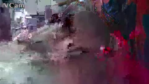 xxilikeassxx online show from February 13, 10:33 am