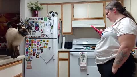 Snapshot of xxstrawberryjanexx chatting on December 14, 5:07 am Strawberry Jane online show from December 14, 5:07 am