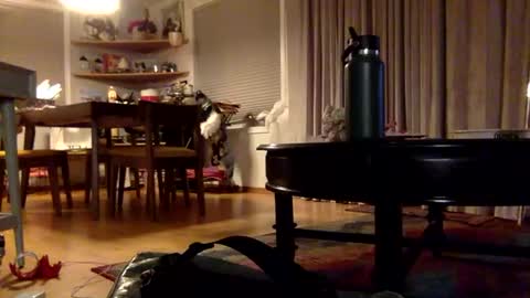 Snapshot of xxtina69x chatting on December 2, 3:37 am yayalala online show from December 2, 3:37 am