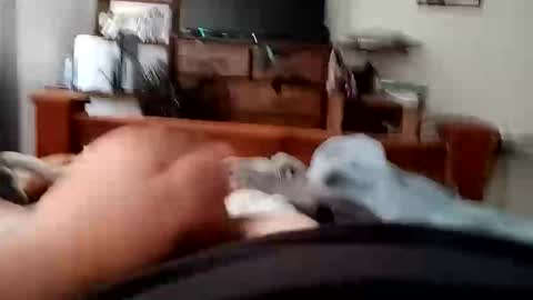 Snapshot of yeet3244 chatting on September 18, 6:48 am yeet3244 online show from September 18, 6:48 am