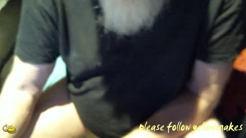 .     y e l l o w s n a k e s       . online show from October 20, 3:51 am