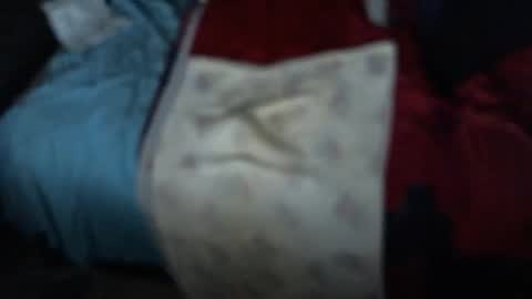 .     y e l l o w s n a k e s       . online show from November 3, 10:16 am