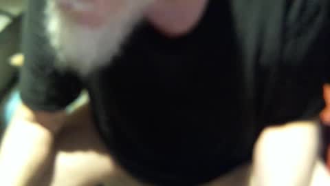 .     y e l l o w s n a k e s       . online show from November 12, 12:38 pm