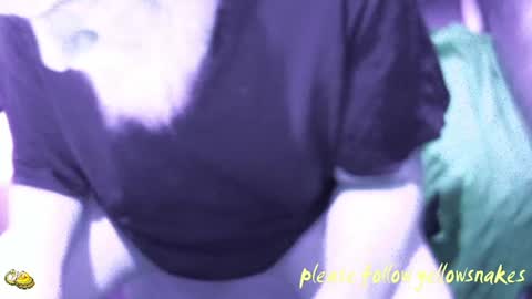 .     y e l l o w s n a k e s       . online show from December 14, 8:02 pm