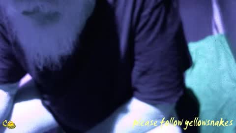 .     y e l l o w s n a k e s       . online show from December 18, 1:28 pm
