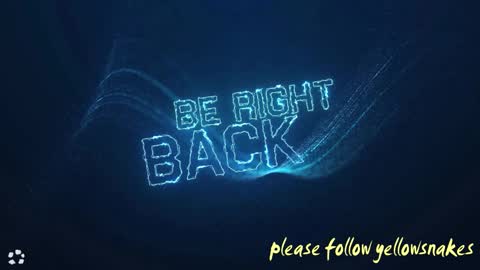 .     y e l l o w s n a k e s       . online show from February 7, 6:28 am