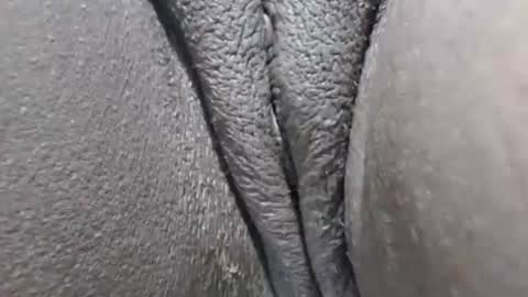 yirily online show from March 21, 5:34 am