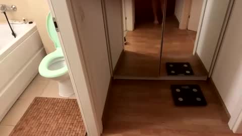 Snapshot of yonise909383 chatting on February 3, 12:36 am yonise909383 online show from February 3, 12:36 am