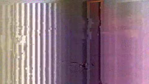 Snapshot of yorel64 chatting on February 16, 6:10 pm yorel64 online show from February 16, 6:10 pm