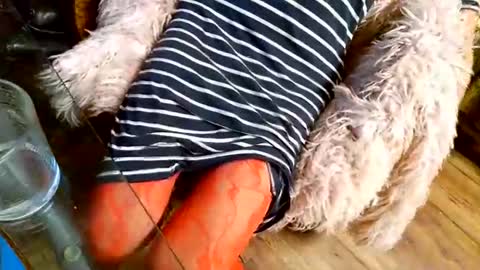 Snapshot of your_dog chatting on December 1, 4:39 am Taylor Tash online show from December 1, 4:39 am